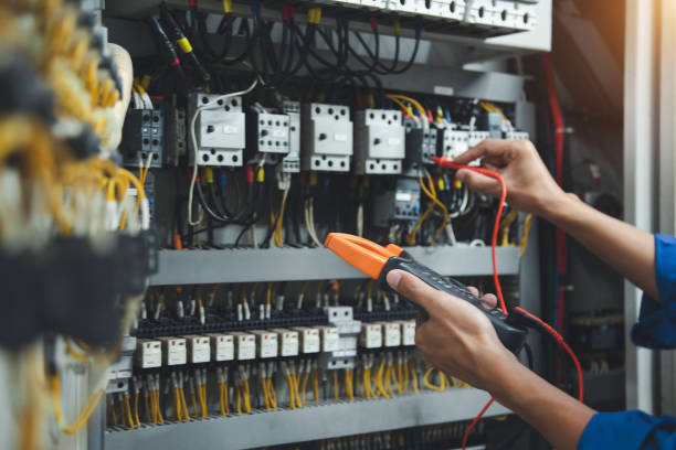 Best Electric Panel Repair  in Cassopolis, MI